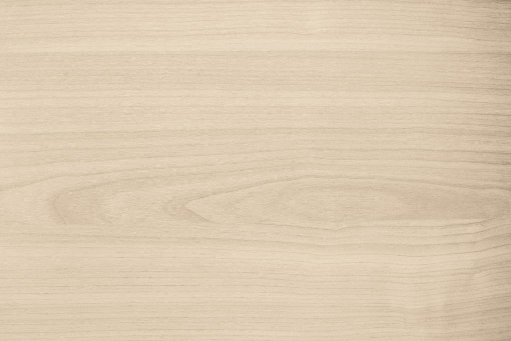 Inclusive Beauty: Diversity, Shades, and Standards Being Rewritten