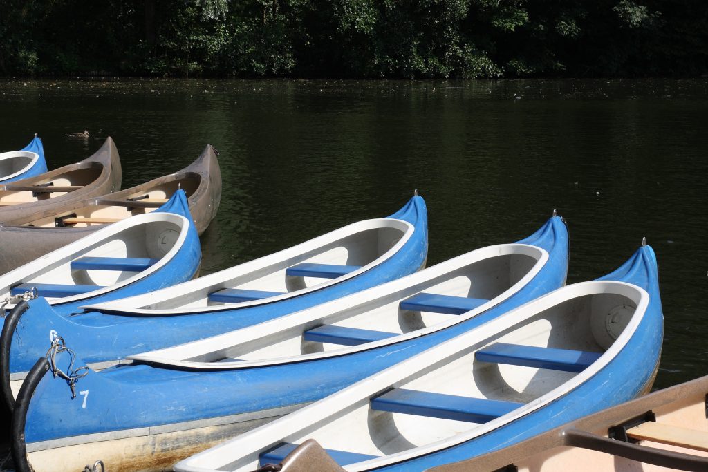 Sunset Cruises and Speedboats: Experiencing Miami’s Boating Lifestyle